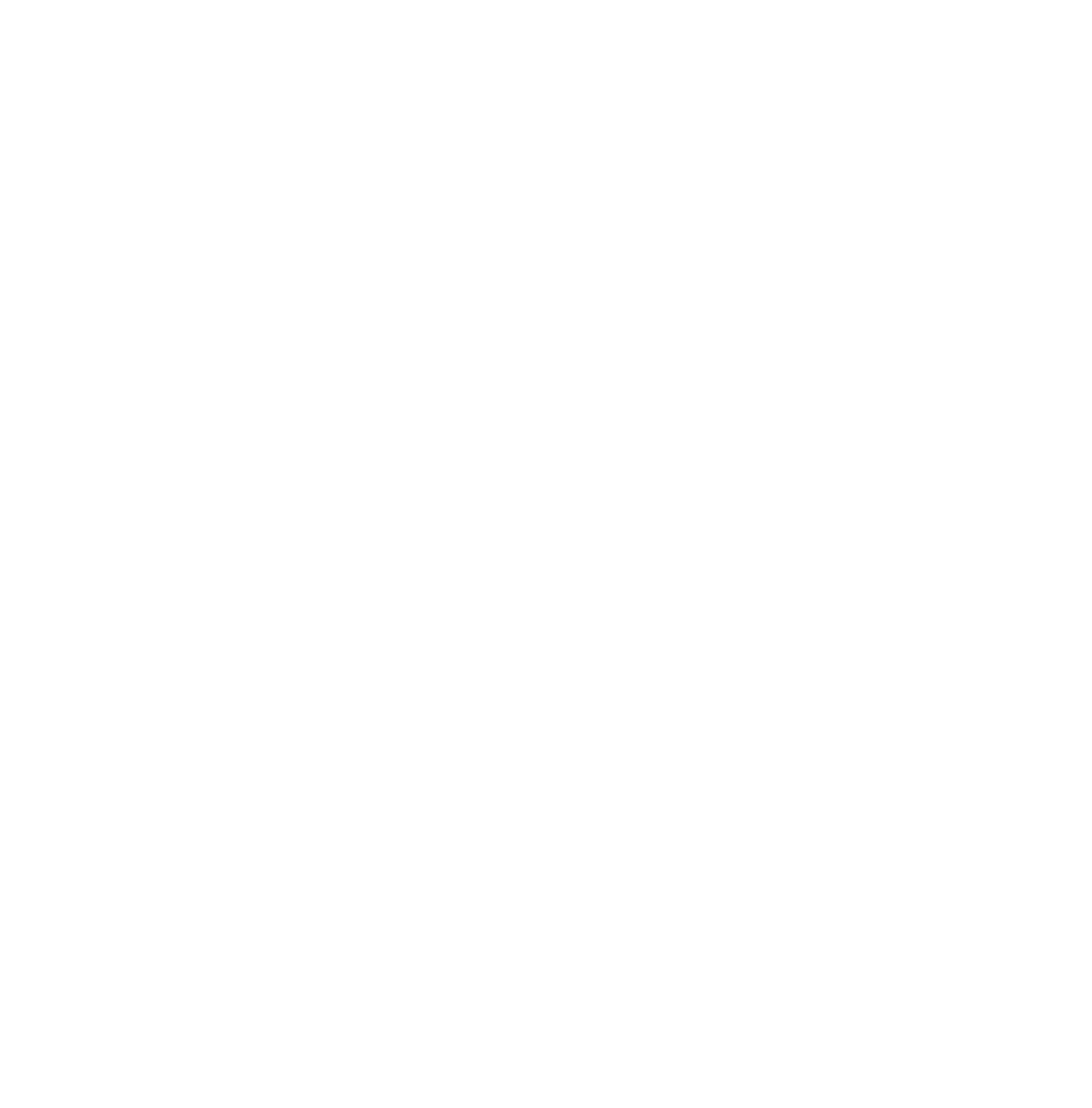 Evans Soccer Academy Logo
